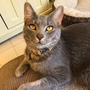 Meet your Posher, Ivana